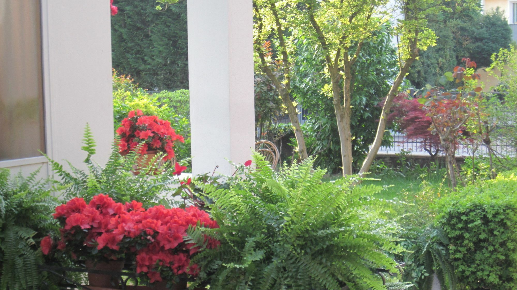 A Casa Di Dora Bed & Breakfast Treviso Exterior photo